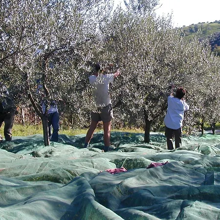 Agriturismo Bio Il Portico-2